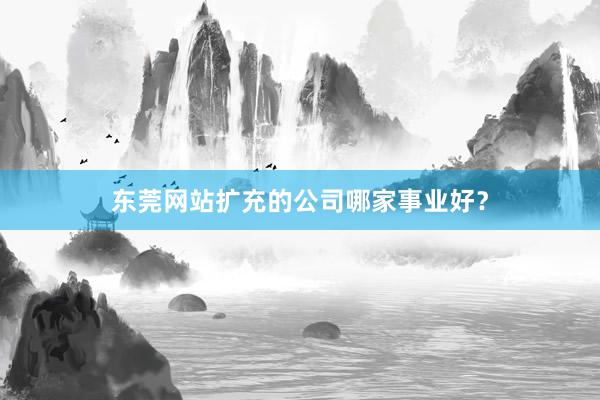 东莞网站扩充的公司哪家事业好？