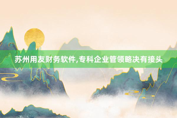 苏州用友财务软件，专科企业管领略决有接头