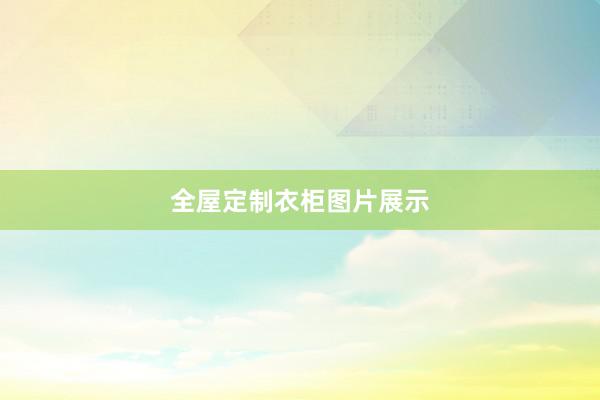 全屋定制衣柜图片展示
