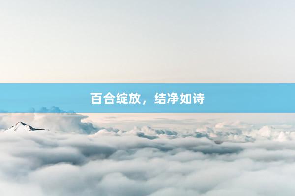 百合绽放，结净如诗