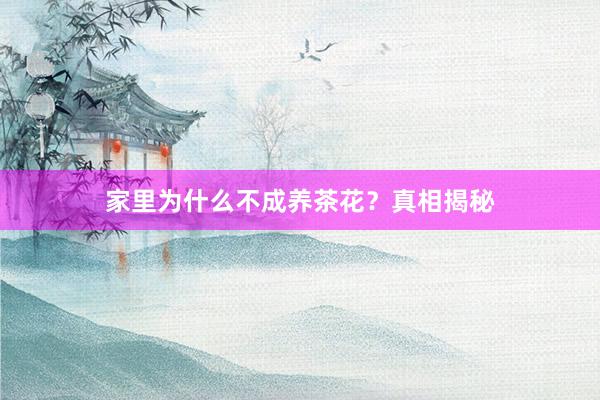 家里为什么不成养茶花？真相揭秘