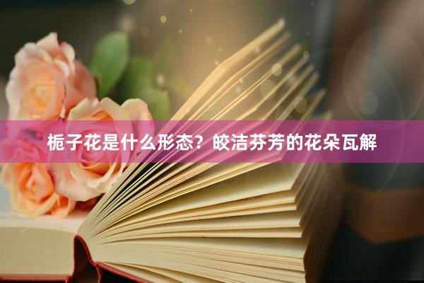 栀子花是什么形态？皎洁芬芳的花朵瓦解