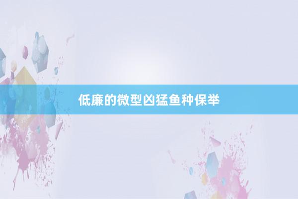 低廉的微型凶猛鱼种保举
