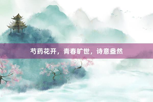 芍药花开，青春旷世，诗意盎然